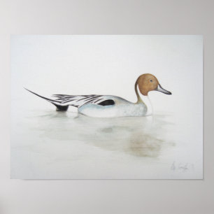 Poster Canard à ongles 2011
