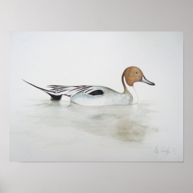 Poster Canard à ongles 2011 (Devant)