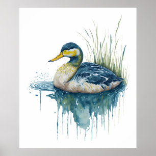 Poster canard d'aquarelle