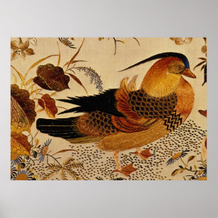 Poster Canard mandarin