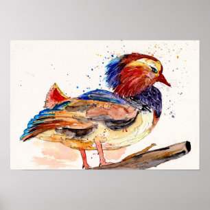 Poster Canard Mandarin Aquarelle