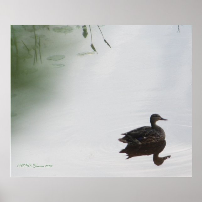Poster Canard mystique (Devant)