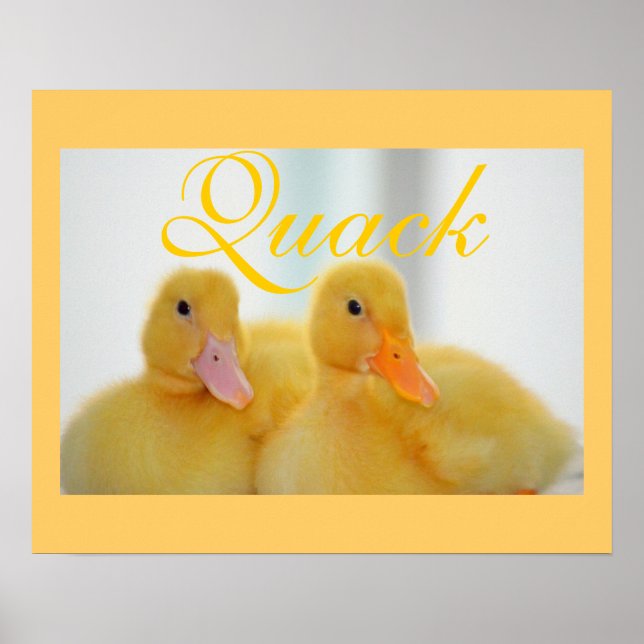 Poster Canard Oiseau Animal Mignon Petit Coin (Devant)