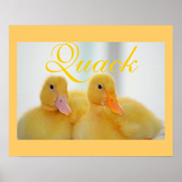 Poster Canard Oiseau Animal Mignon Poulet Coince