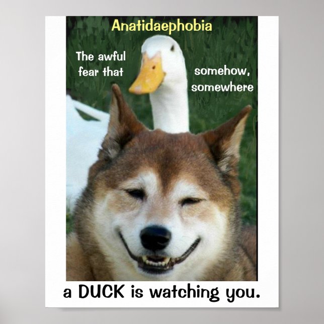 Poster Canard Shiba Inu Chien Anatidaephobia Photo Doge A (Devant)