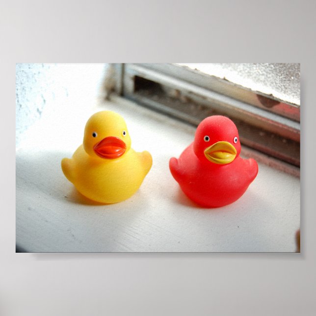 Poster Canards (Devant)