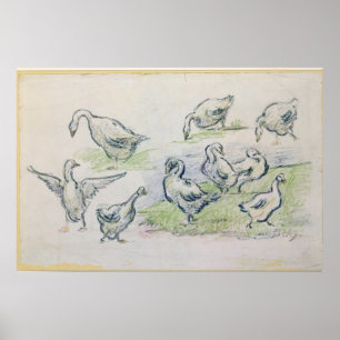 Poster Canards d'Alfred Sisley  