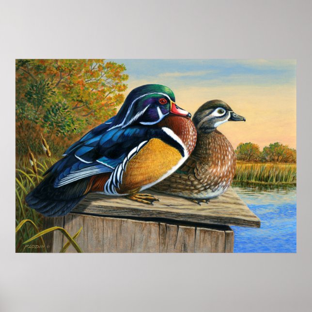 Poster Canards En Bois Sur La Peinture De La Boîte De Nid (Devant)