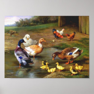 Poster Canards Poulets Animaux Oiseaux Peinture