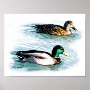 Poster Canards sur le lac