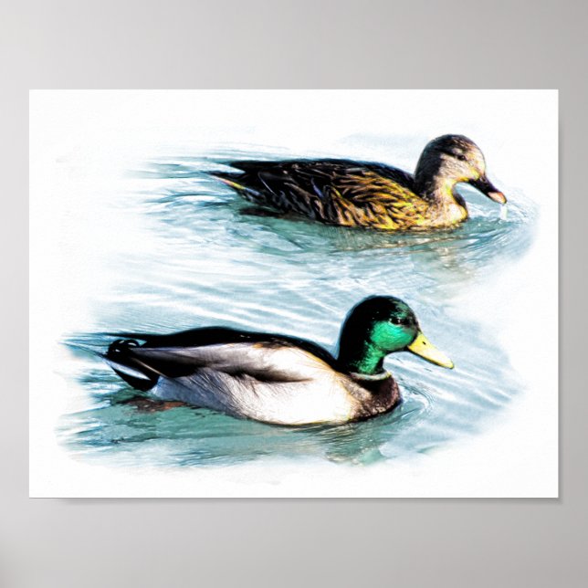 Poster Canards sur le lac (Devant)