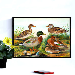 Poster Canards vintages À L'Étang 3