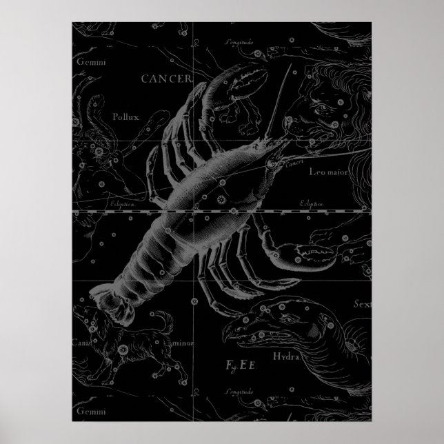 Poster Cancer Constellation Vintage Engraving Hevelius (Devant)