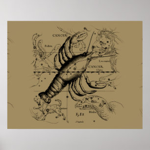 Poster Cancer Zodiac Constellation par Hevelius 1690