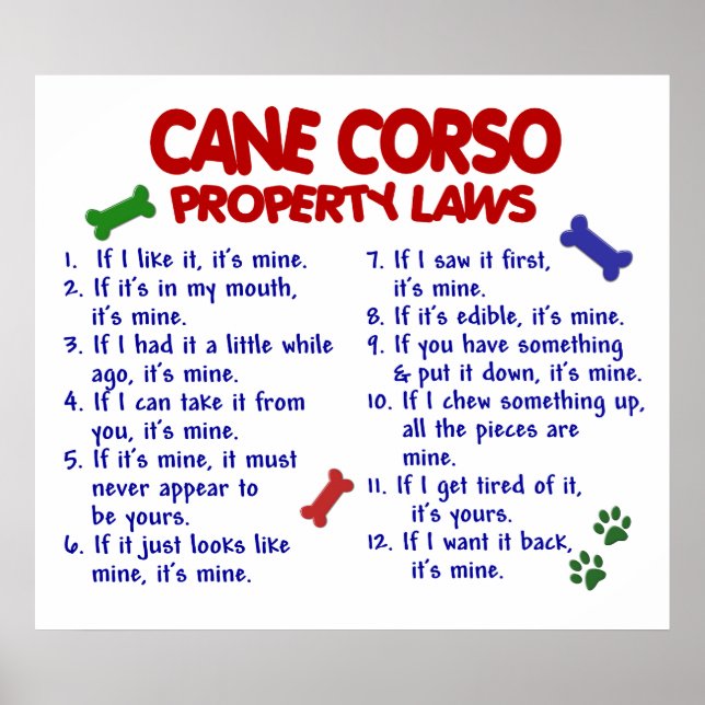 POSTER CANE CORSO PL2 (Devant)