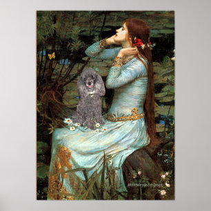 Poster Caniche (Argent 8) - Ophélie assise