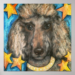 Poster Caniche snob