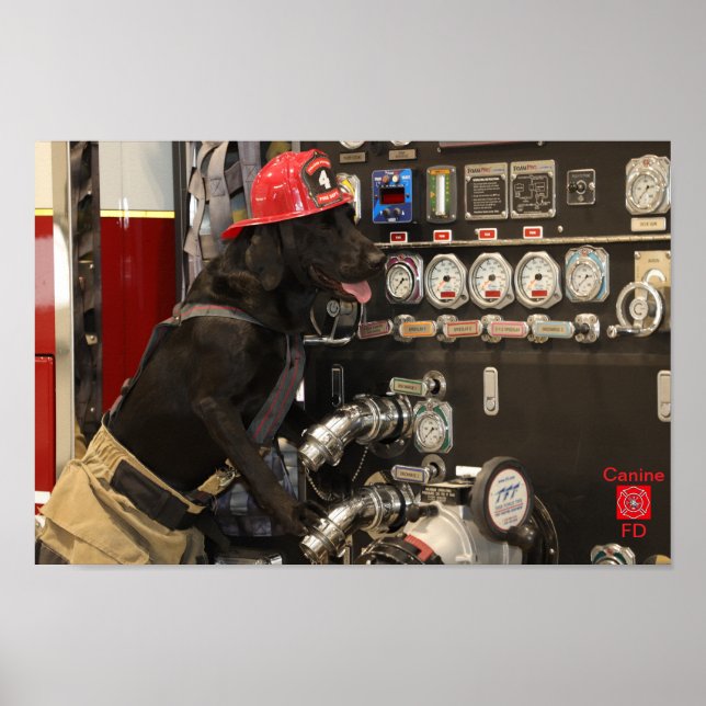 Poster Canine Fire Department (Devant)