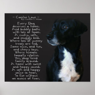 Poster Canine Love