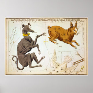 Poster Canis Major, Lepus, Columba Noachi & Cela Sculptor