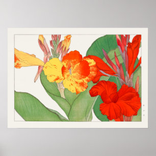 Poster Canna Lily, Fleur de jardin, Konan, Nature Vintage