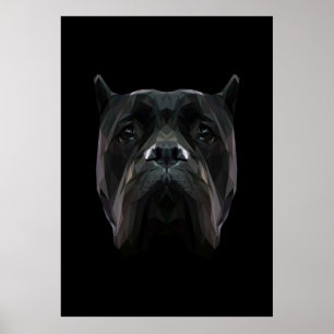 Poster Canne Corso
