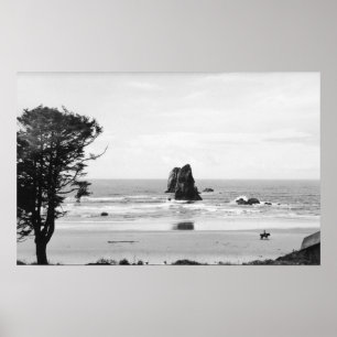 Poster Cannon Beach, Oregon Scene avec les aiguilles