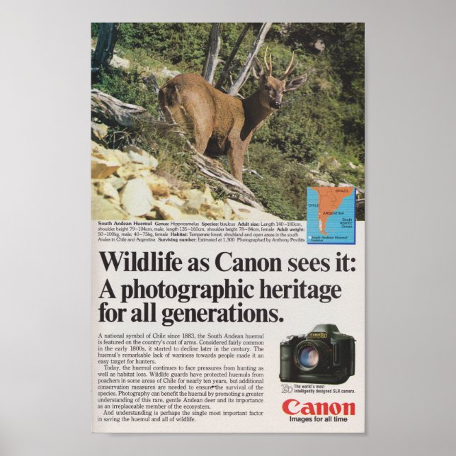 Poster Canon caméra 1980s publicité rétro antique (Devant)