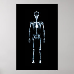 Poster Canvas Imprimer X-Ray Vision Bleu Squelette simple