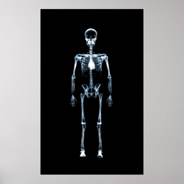 Poster Canvas Imprimer X-Ray Vision Bleu Squelette simple (Devant)