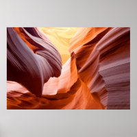"Canyon Antelope"