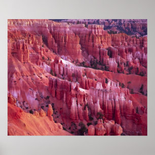 Poster Canyon Bryce, Utah, États-Unis