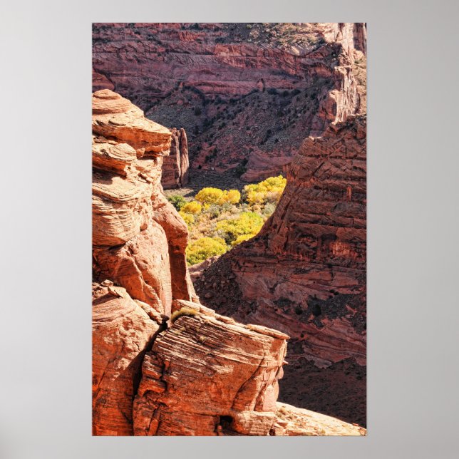 Poster Canyon de Chelly (Devant)