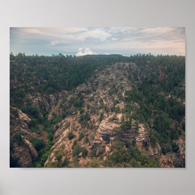 Poster Canyon de noix (Devant)