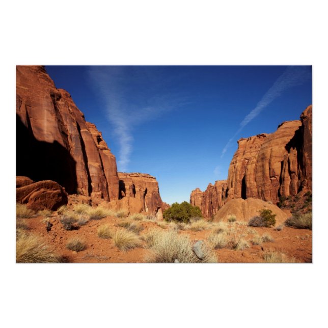 Poster Canyon de Red Rock (Devant)