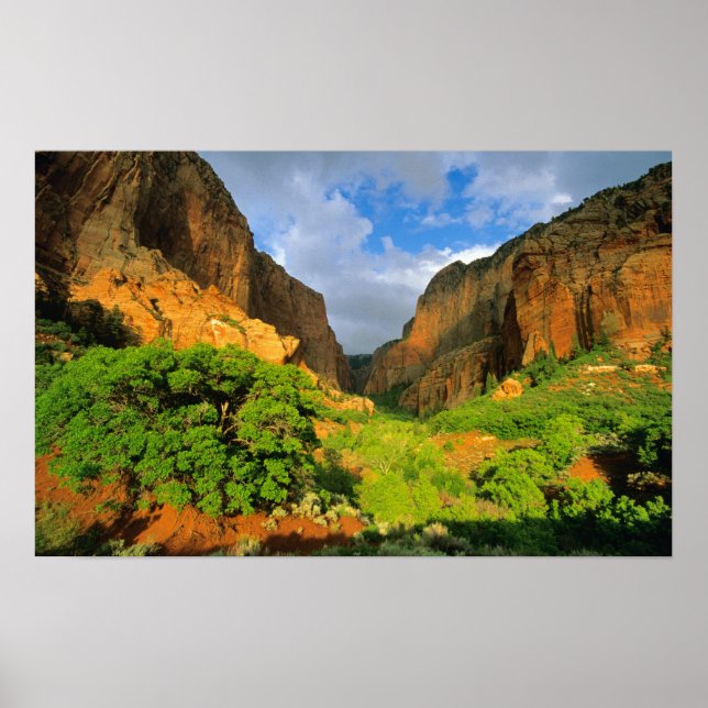 Poster Canyon Kolob à Zion Canyon à Zion National (Devant)