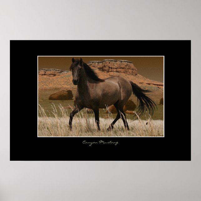 Poster CANYON MUSTANG Cheval Conservation Art Imprimer (Devant)