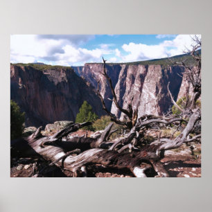 Poster Canyon noir de la Gunnison