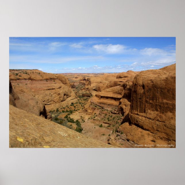 Poster Canyon sans fin (Devant)