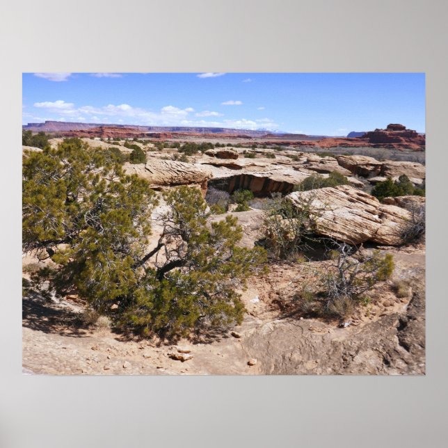Poster Canyonlands View from Cave Springs Trail (Devant)