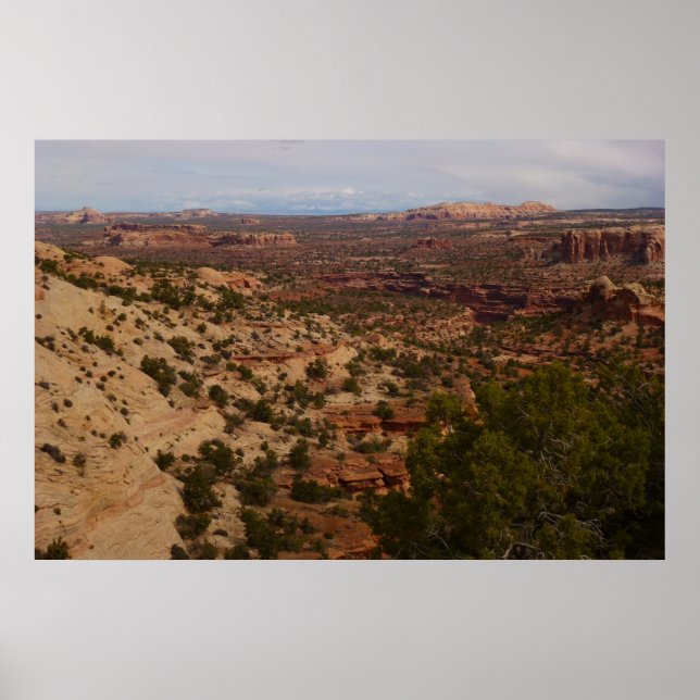 Poster Canyonlands Vue depuis le sentier Neck Springs (Devant)