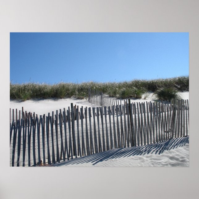 Poster Cape Cod Beach (Devant)