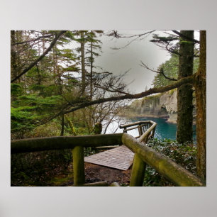 Poster Cape Flattery Olympic Peninsula - Washington