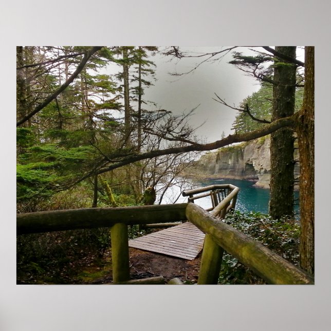 Poster Cape Flattery Olympic Peninsula - Washington (Devant)