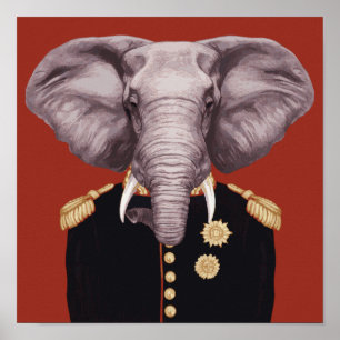 Poster Capitaine Elephant
