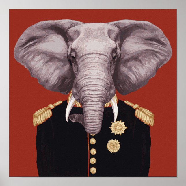 Poster Capitaine Elephant (Devant)
