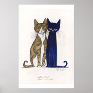 Poster Capitaine et Pete