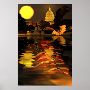 Poster Capitol-Eagle-Flag-W-O-Sun-ray-set-2