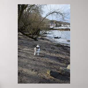 Poster Capo von Oppenheim, chien Jack Russell Terrier