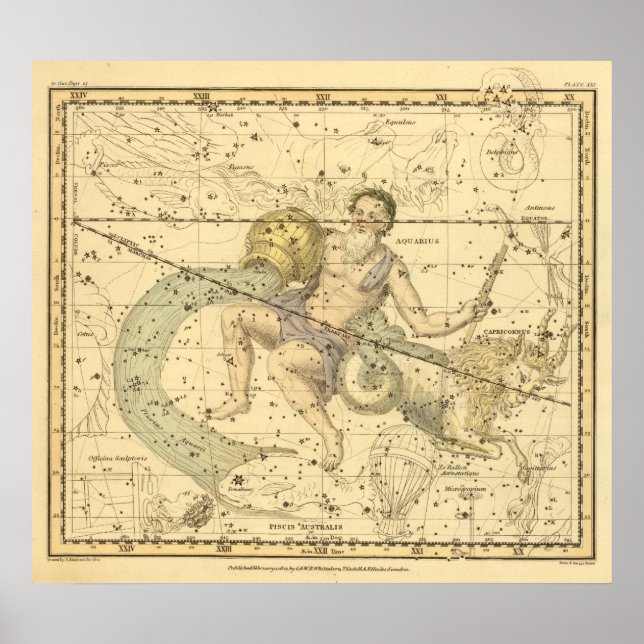Poster Capricorne et Aquarius (Devant)